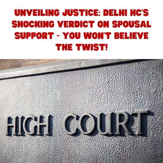 spouse support delhi high court